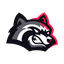 BetFury logo