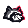 BetFury logo